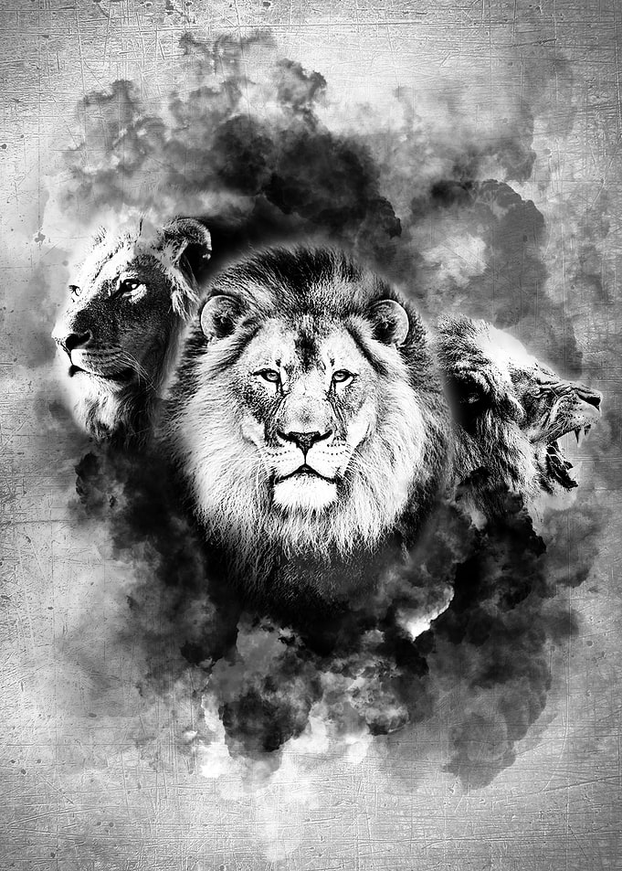 Abstract Lion