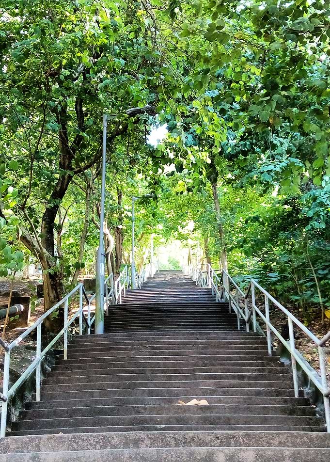 Stair in green