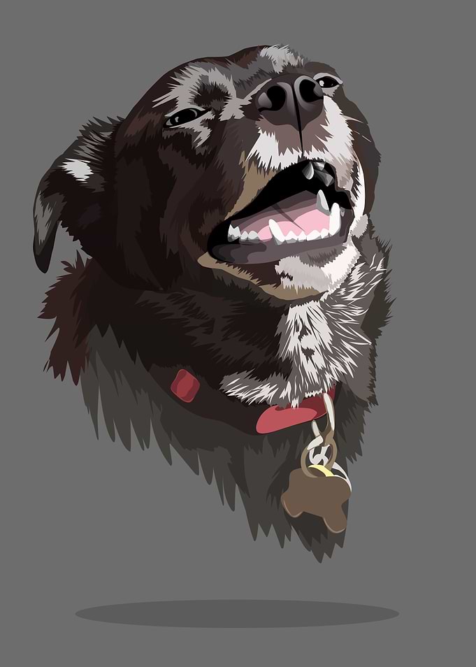 cute dog