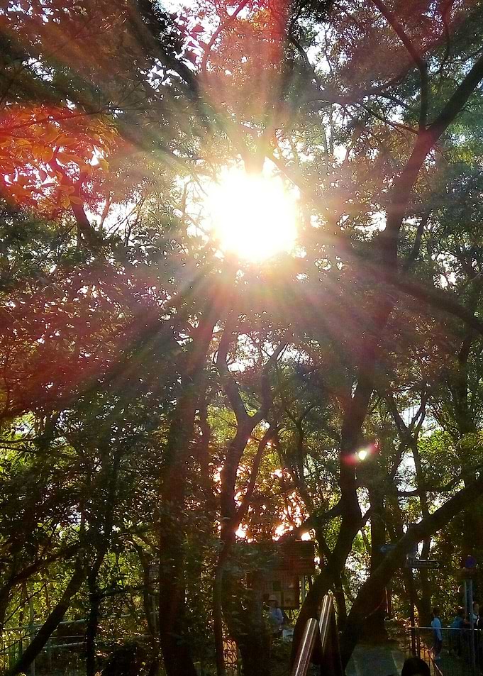 Sunshine in the morning
