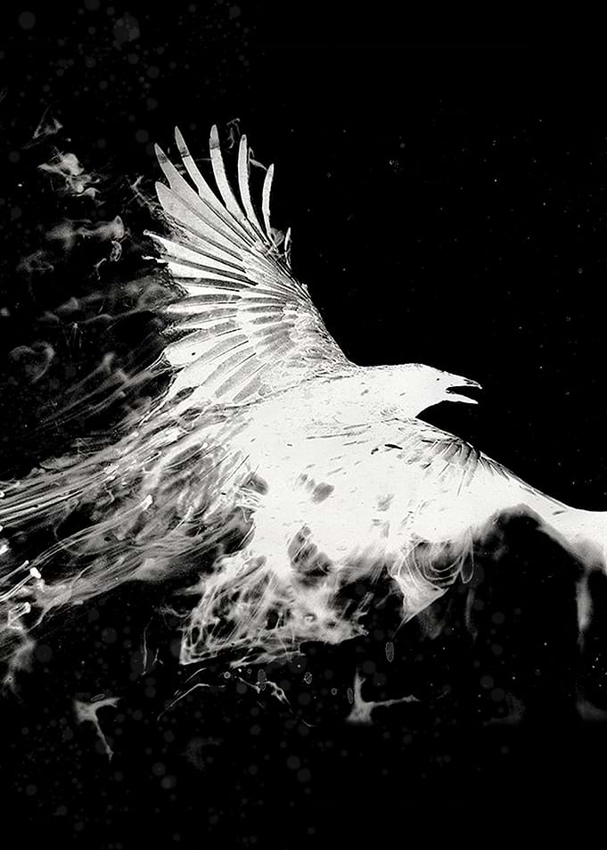 White Eagle