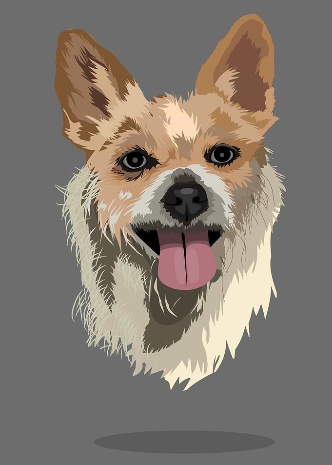 cute dog