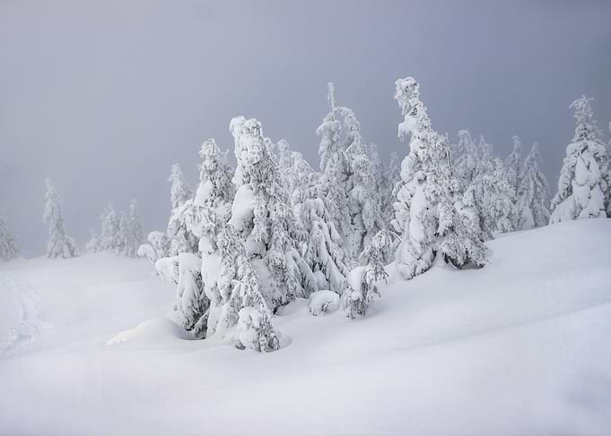 Foggy day