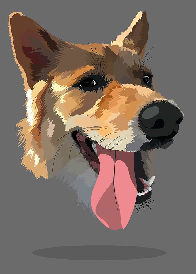 cute dog