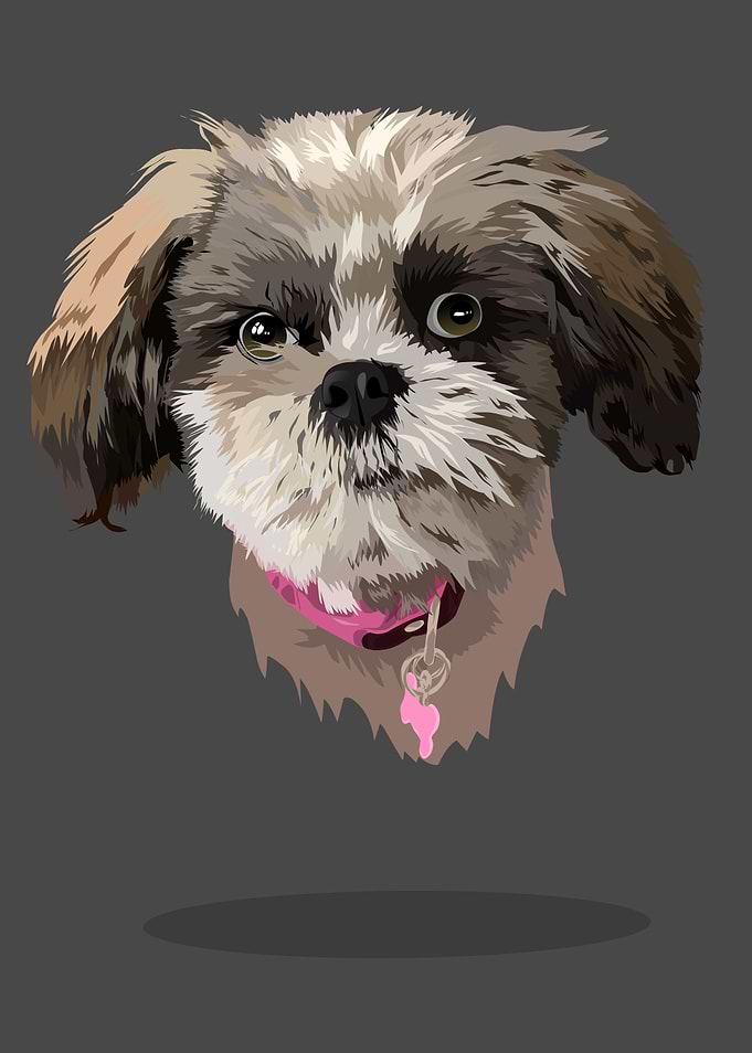 cute dog