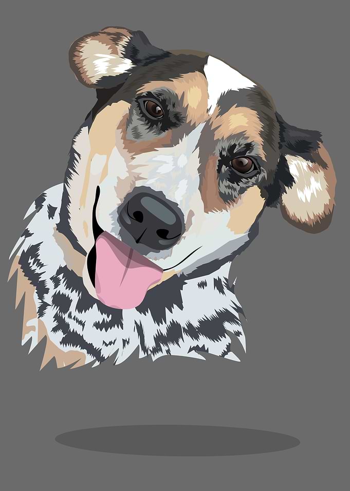 cute dog