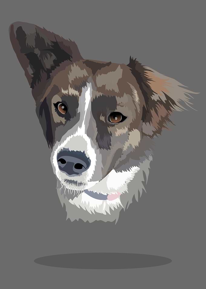 cute dog