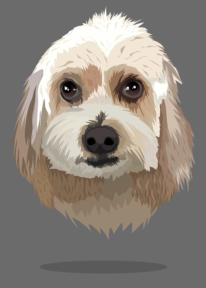 cute dog