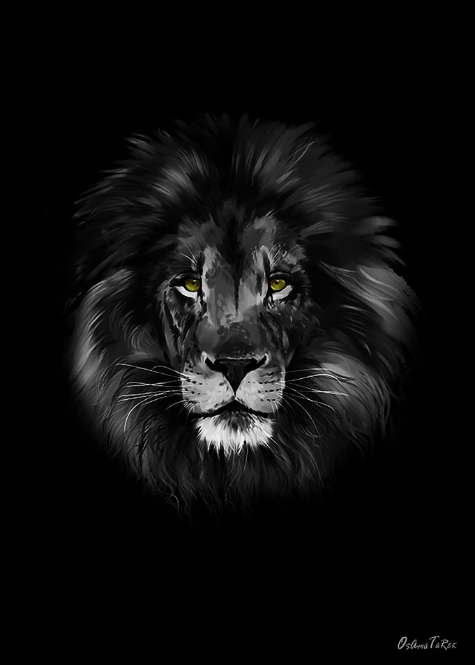 lion