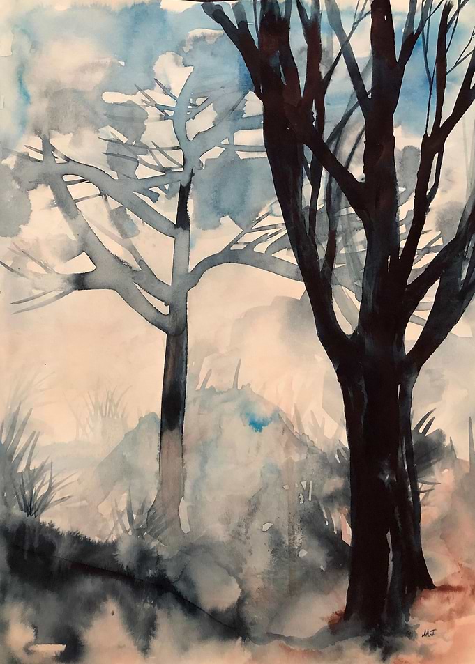 trees in the fog