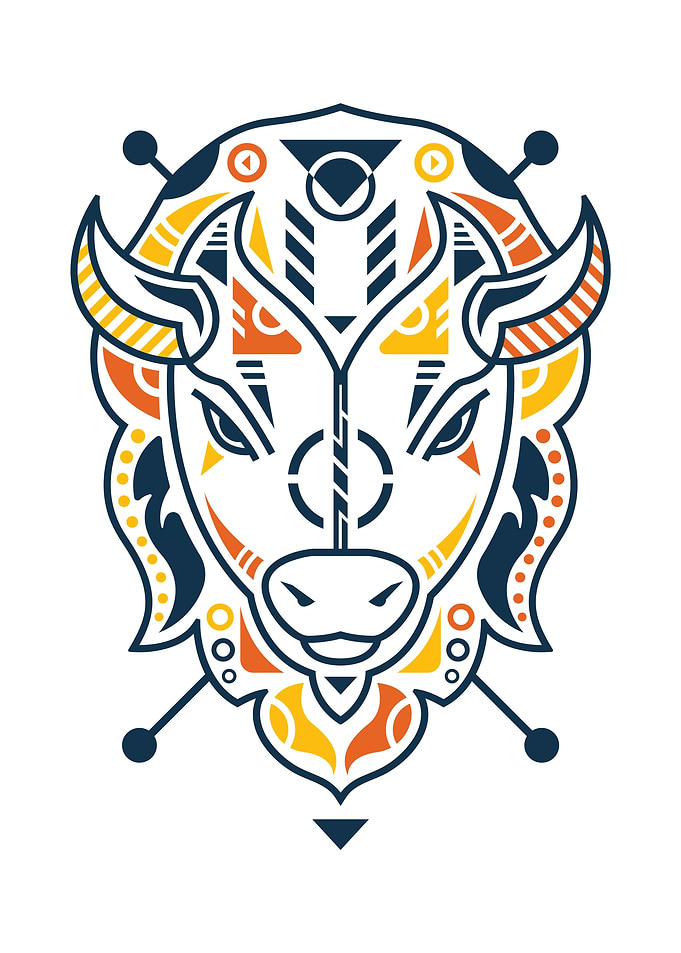 Unique Bison Head
