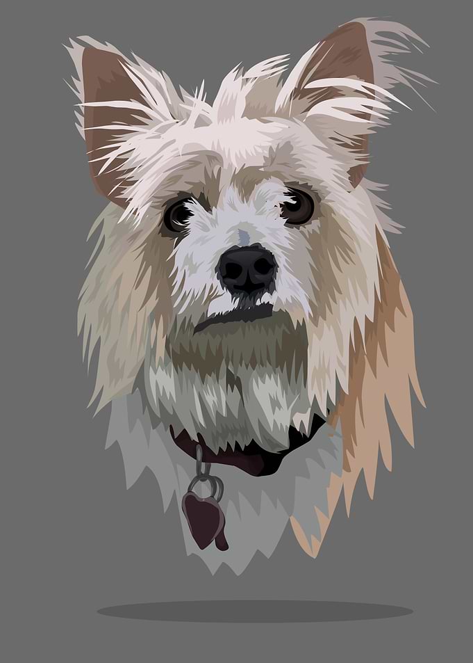 cute dog
