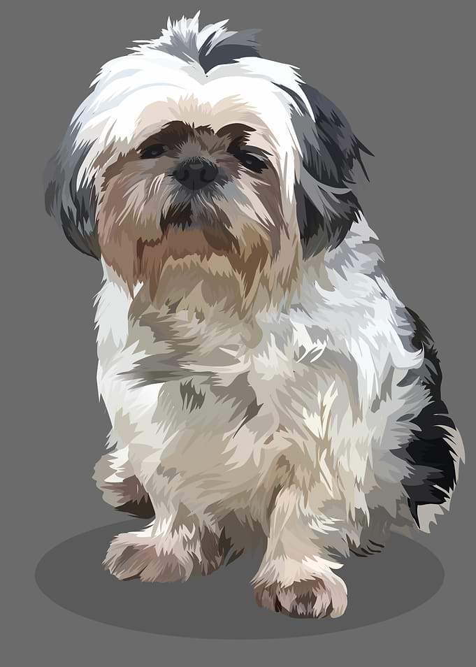 cute dog