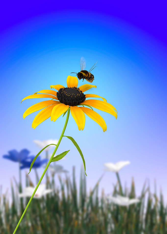 Bee