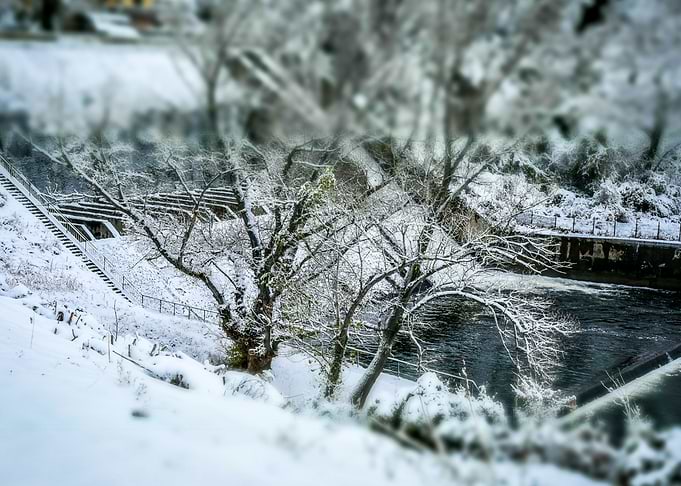 Winter Tale