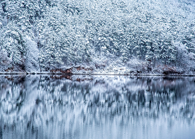White Winter