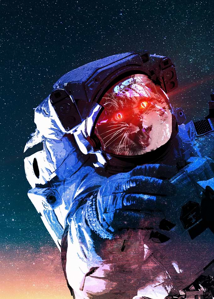 space cat