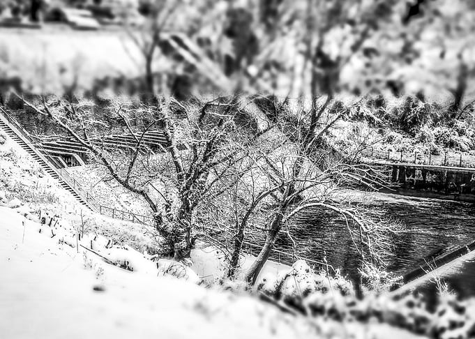 Winter Tale