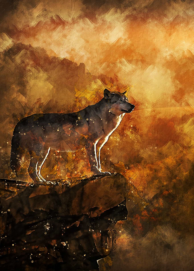 Wolf 4