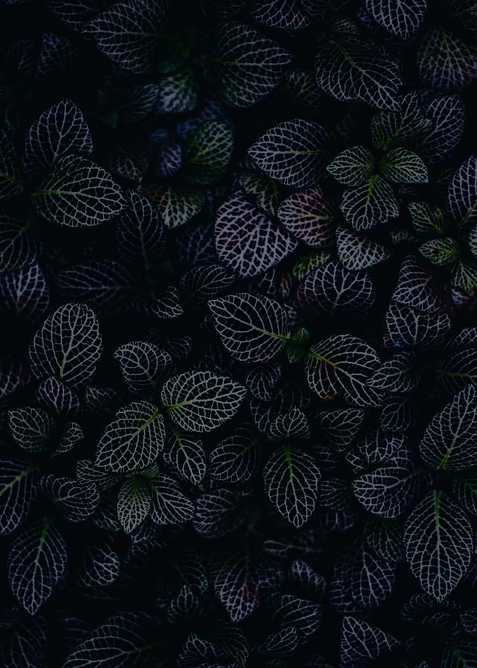 Black Material Texture