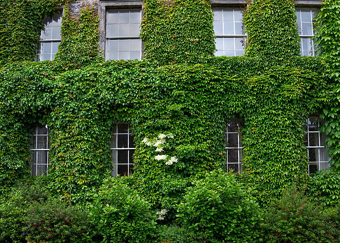 Building windows