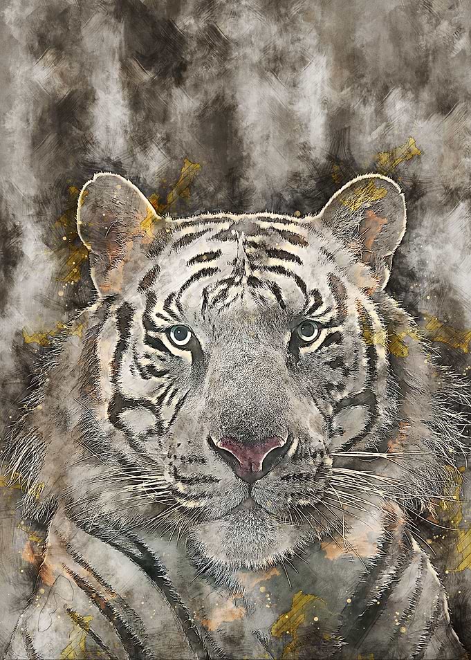 Tiger 3