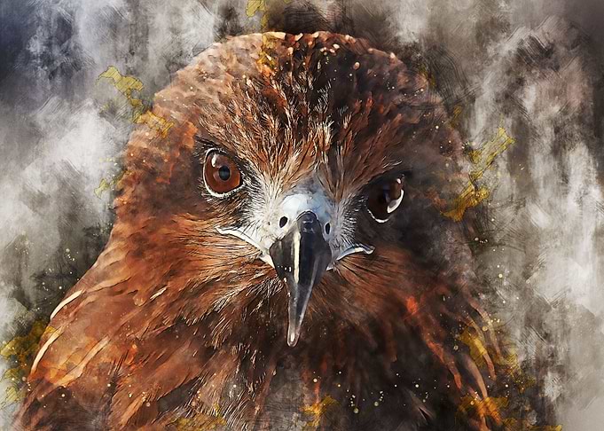 Birds eyes