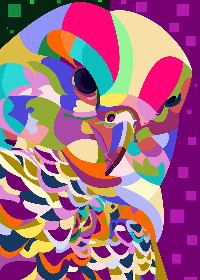 A colorful bird