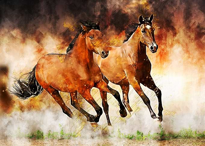 Horses