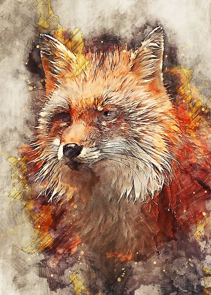 Fox 2