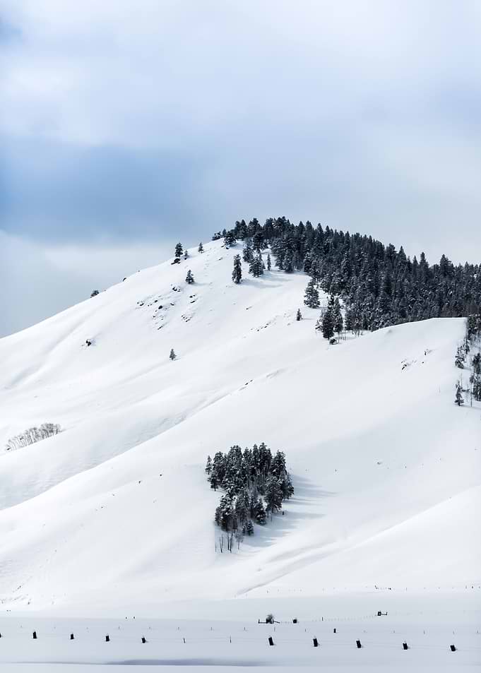 Snow 128