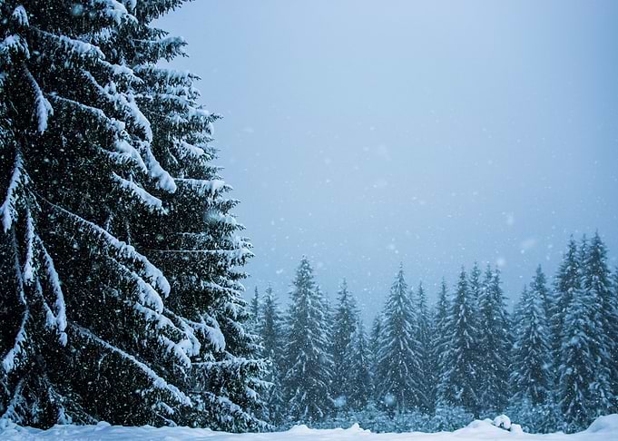 Snow 124