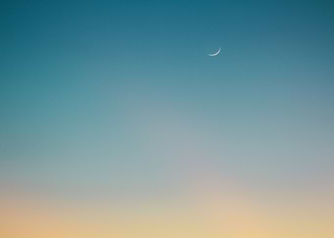 Landscape 67