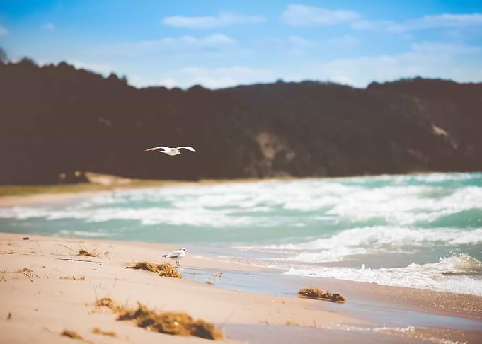 Beach 276
