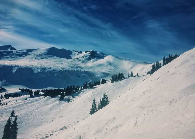 Landscape 206