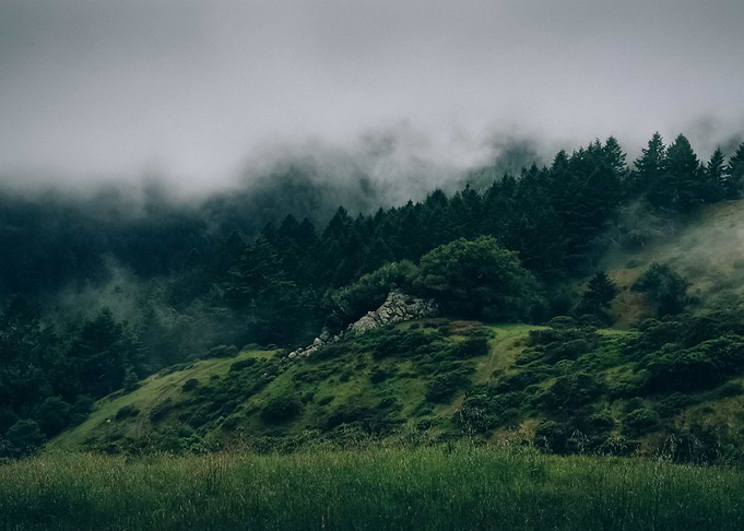 Landscape 188