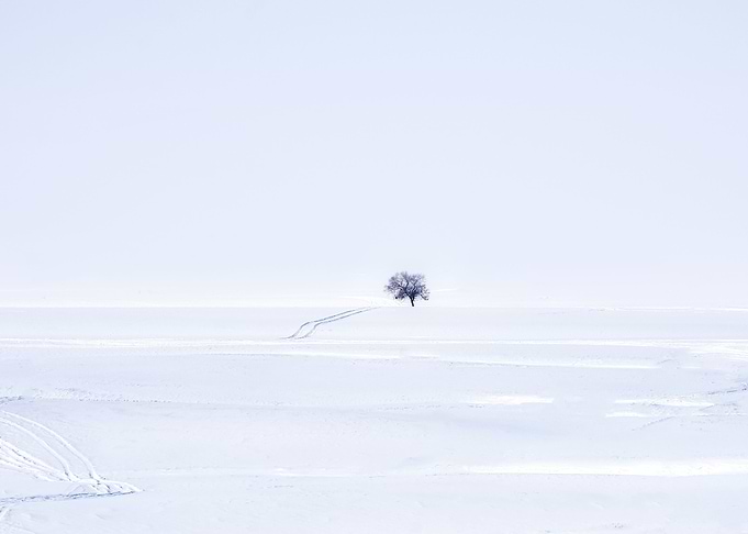 Snow 98