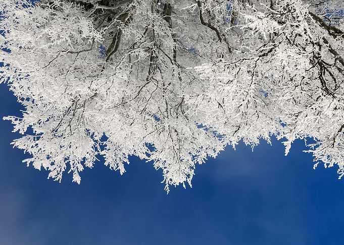 Snow 9
