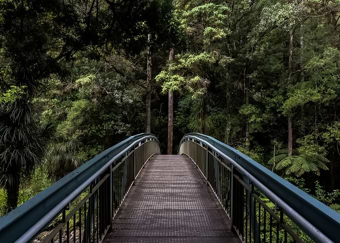 Bridge 14