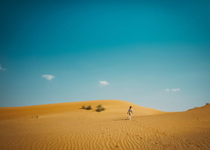 Landscape 227