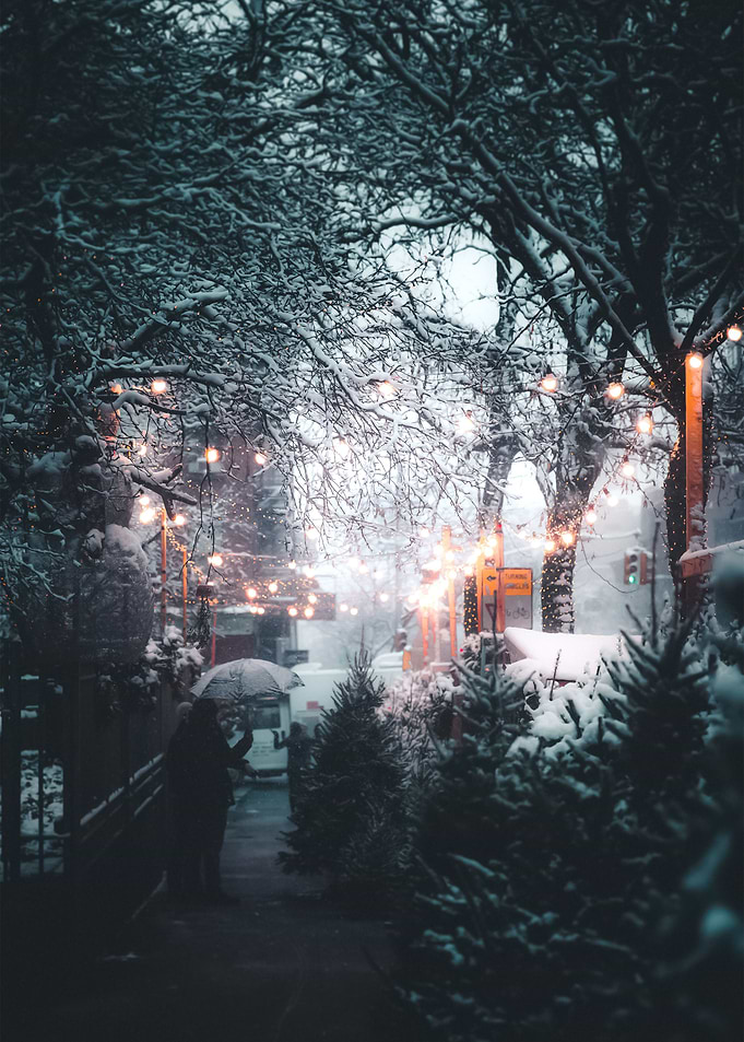 Snow 108