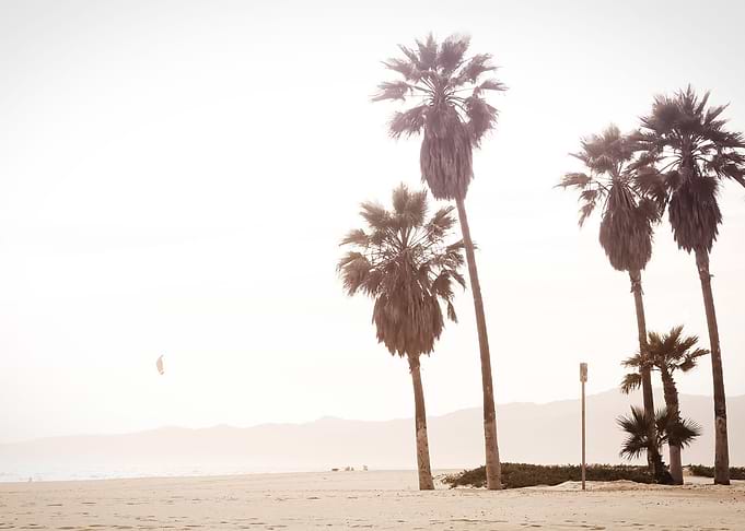 Beach 494