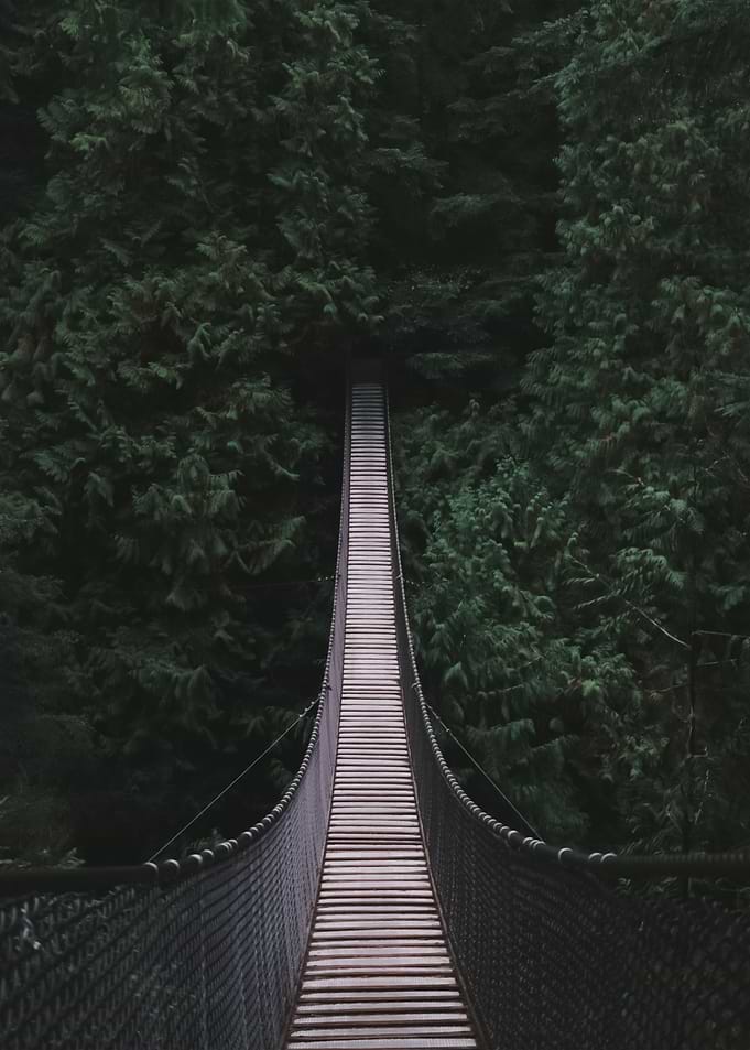 Bridge 38