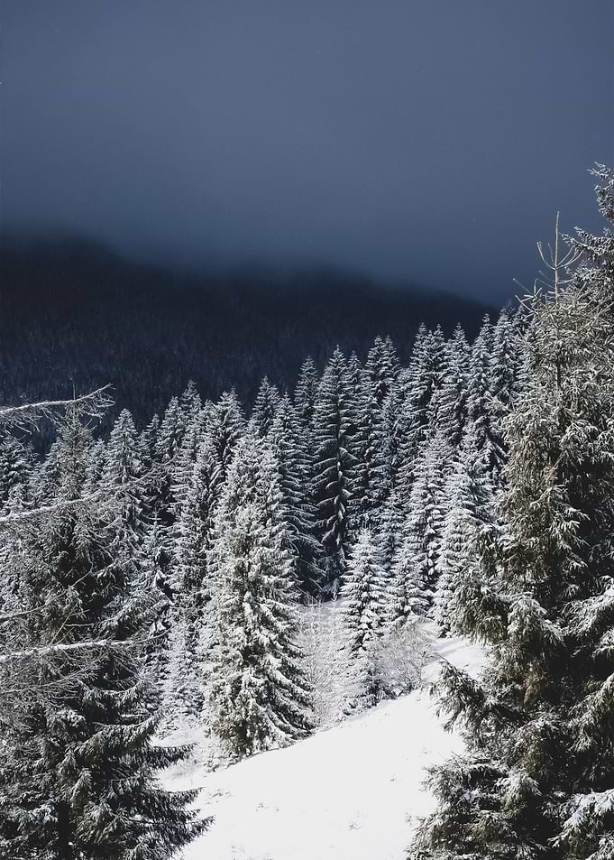 Snow 160