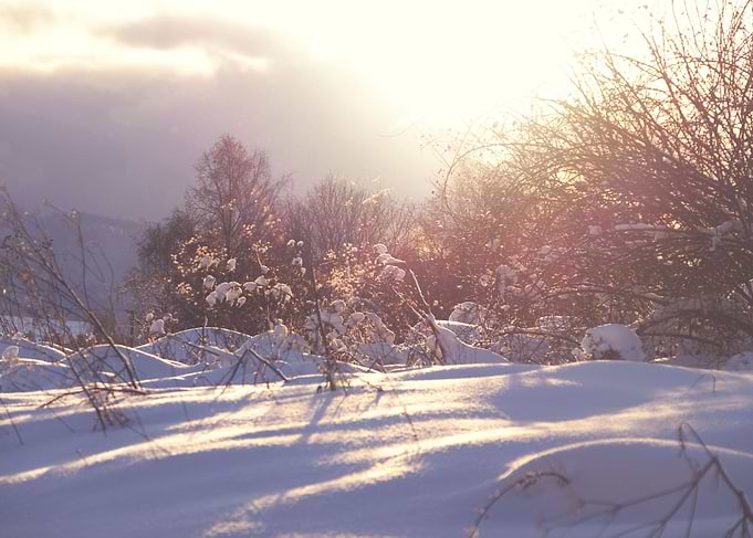 Sunbeams