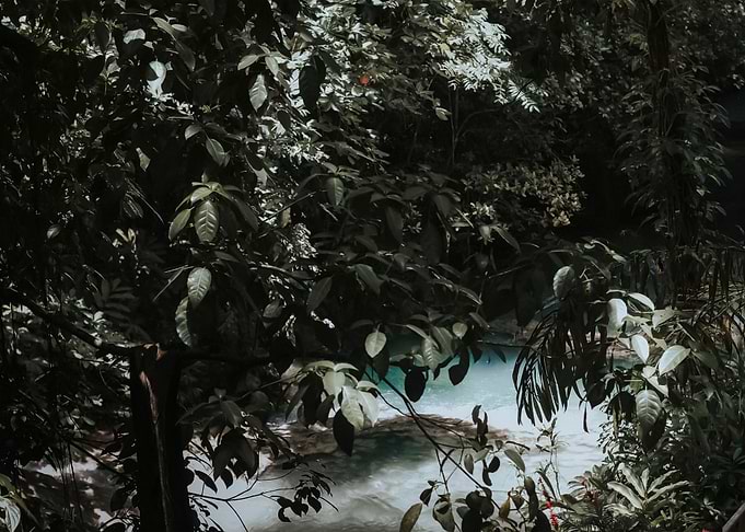 Water Landscape 104