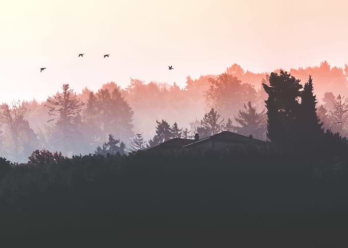 Landscape 12