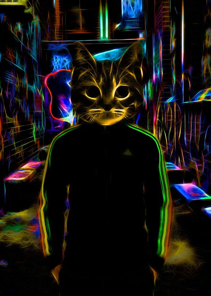 Glowing cat