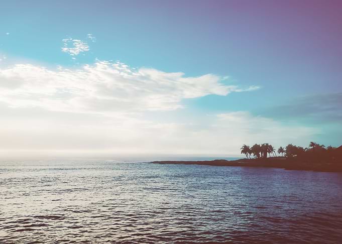 Beach 599