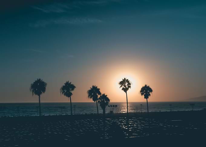 Beach 205
